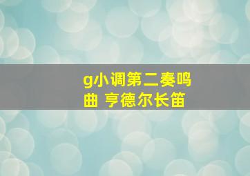 g小调第二奏鸣曲 亨德尔长笛